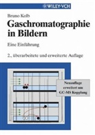 Bruno Kolb - Gaschromatographie in Bildern
