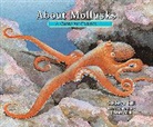 Cathryn Sill, Cathryn P. Sill, Cathryn/ Sill Sill, John Sill - About Mollusks