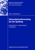 Marcus Bysikiewicz - Unternehmensbewertung bei der Spaltung