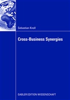 Sebastian Knoll - Cross-Business Synergies