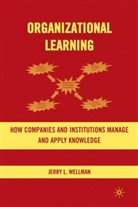 J Wellman, J. Wellman, Jerry Wellman, Jerry L. Wellman, WELLMAN JERRY L - Organizational Learning