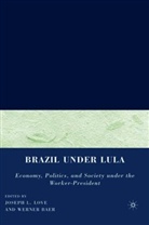 Joseph L. Baer Love, LOVE JOSEPH L BAER WERNER, W. Baer, Werner Baer, J. Love, Joseph L. Love - Brazil Under Lula