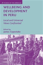 James Copestake, COPESTAKE JAMES, Copestake, J Copestake, J. Copestake, James Copestake - Wellbeing and Development in Peru