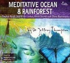 Jeffrey Thompson - Meditative Ocean & Rainforest
