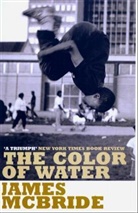 James Mcbride, McBride James - The Color of Water