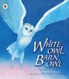 Nicola Davies, Michael Foreman - White Owl, Barn Owl