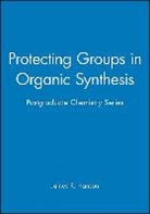 HANSON, James R Hanson, James R. Hanson, Hanson James R. - Protecting Groups in Organic Synthesis