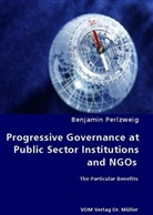 Benjamin Perlzweig - Progressive Governance at Public Sector Institutions and NGOs