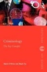 &amp;apos, Martin Yar brien, O&amp;apos, Martin O'Brien, Martin (University of Central Lancashire O'Brien, Martin (University of Central Lancashire O''brien... - Criminology: The Key Concepts