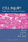 Despa, Florin Despa, Hamann, Lee, R. C. Lee, Raphael C. Lee... - Cell Injury - Mechanisms, Responses and Repair