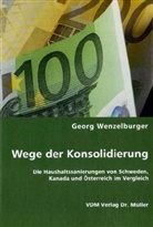 Georg Wenzelburger - Wege der Konsolidierung