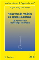 Brigitte Bidegaray-Fesquet, Brigitte Bidégaray-Fesquet - Hiérarchie de modèles en optique quantique