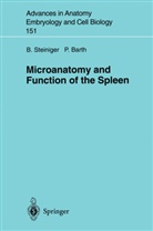 Peter Barth, Birt Steiniger, Birte Steiniger - Microanatomy and Function of the Spleen