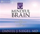 Daniel J. Siegel - The Mindful Brain (Audio book)