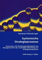 Reinhard Altenburger - Systemische Strategieprozesse