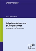 Ewald M. Sütterlin, Ewald Maria Sütterlin - Katalytische Verbrennung zur Stromerzeugung