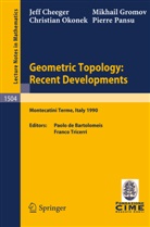 Jef Cheeger, Jeff Cheeger, Mikhai Gromov, Mikhail Gromov, Christian Okonek, Christian et Okonek... - Geometric Topology: Recent Developments