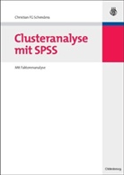 Christian Schendera, Christian F Schendera, Christian F. G. Schendera, Christian FG Schendera - Clusteranalyse mit SPSS