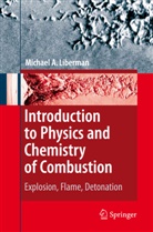 Michael A Liberman, Michael A. Liberman - Introduction to Physics and Chemistry of Combustion