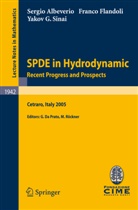 Sergi Albeverio, Sergio Albeverio, Franc Flandoli, Franco Flandoli, Yakov G Sinai, Yakov G. Sinai... - SPDE in Hydrodynamic