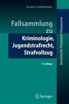 Klaus Laubenthal - Fallsammlung zu Kriminologie, Jugendstrafrecht, Strafvollzug