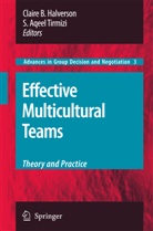 Aqeel Tirmizi, Aqeel Tirmizi, Clair B Halverson, Claire B Halverson, Claire B. Halverson, S. Aqeel Tirmizi - Effective Multicultural Teams: Theory and Practice