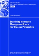 Thomas Limberg - Examining Innovation Management from a Fair Process Perspective
