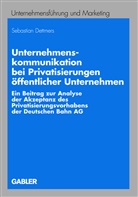 Sebastian Dettmers - Unternehmenskommunikation bei Privatisierungen öffentlicher Unternehmen