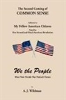 A. J. Wildman - The Second Coming of Common Sense