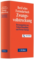 Fabian Hasselblatt, Fabian U. D. Hasselblatt, Werner Sternal - Beck'sches Formularbuch Zwangsvollstreckung, m. CD-ROM