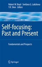 Robert W. Boyd, Svetlan G Lukishova, Svetlana G Lukishova, Svetlana G. Lukishova, Y R Shen, Y. R. Shen... - Self-focusing: Past and Present