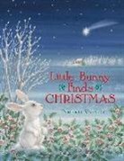 Pirkko Vainio, Pirko Vainio - Little Bunny Finds Christmas