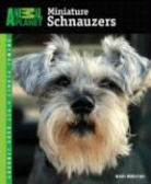 Nikki Moustaki - Miniature Schnauzers