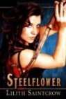 Josh Z. Carter, Lilith Saintcrow, Josh Z. Carter - Steelflower