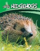 Sally Morgan - Hedgehogs