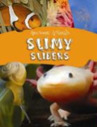 Lynn Huggins-Cooper - Slimy Sliders