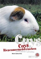 Marta C Arius, Marta Cadena Arias, Marta Cadena-Arias - Cuys - Riesenmeerschweinchen