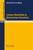 D. E. Blair, David E. Blair - Contact Manifolds in Riemannian Geometry