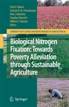 S.B.M. Chimphango, Samson B. M. Chimphango, F.D. Dakora, Felix D. Dakora, Claudine Elmerich, William E. Newton... - Biological Nitrogen Fixation: Towards Poverty Alleviation through Sustainable Agriculture