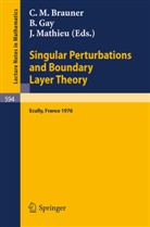 C. M. Brauner, C.M. Brauner, B. Gay, J. Mathieu - Singular Perturbations and Boundary Layer Theory