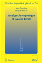 Jea Cousteix, Jean Cousteix, Jacques Mauss - Analyse asymptotique et couche limite