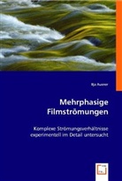 Ilja Ausner - Mehrphasige Filmströmungen