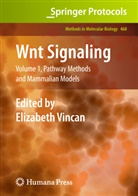 Elizabet Vincan, Elizabeth Vincan - Wnt Signaling