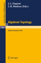 J. L. Dupont, I. H. Madsen - Algebraic Topology, Aarhus 1978