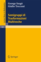 George Szegö, Giulio Treccani - Semigruppi di Trasformazioni Multivoche