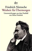 Friedrich Nietzsche, Hein Friedrich, Heinz Friedrich - Weisheit für Übermorgen