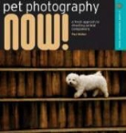 Paul Walker - Pet Photography Now!
