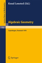 K. Lonsted - Algebraic Geometry