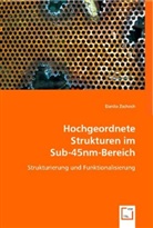 Danilo Zschech - Hochgeordnete Strukturen im Sub-45nm-Bereich
