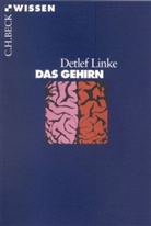 Detlef Linke, Detlef B. Linke - Das Gehirn